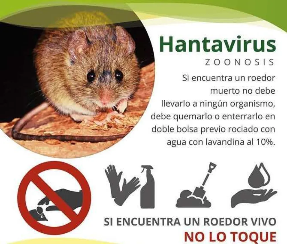 Recuerdan recomendaciones para prevenir el hantavirus