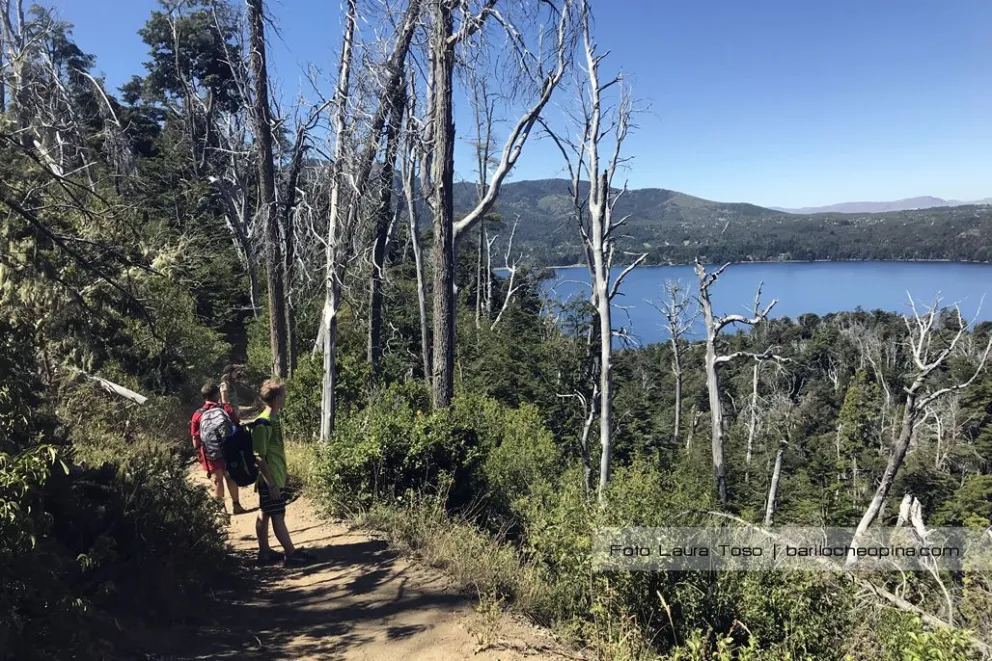 Una pyme argentina desarrolla proyectos forestales para mitigar el cambio climático