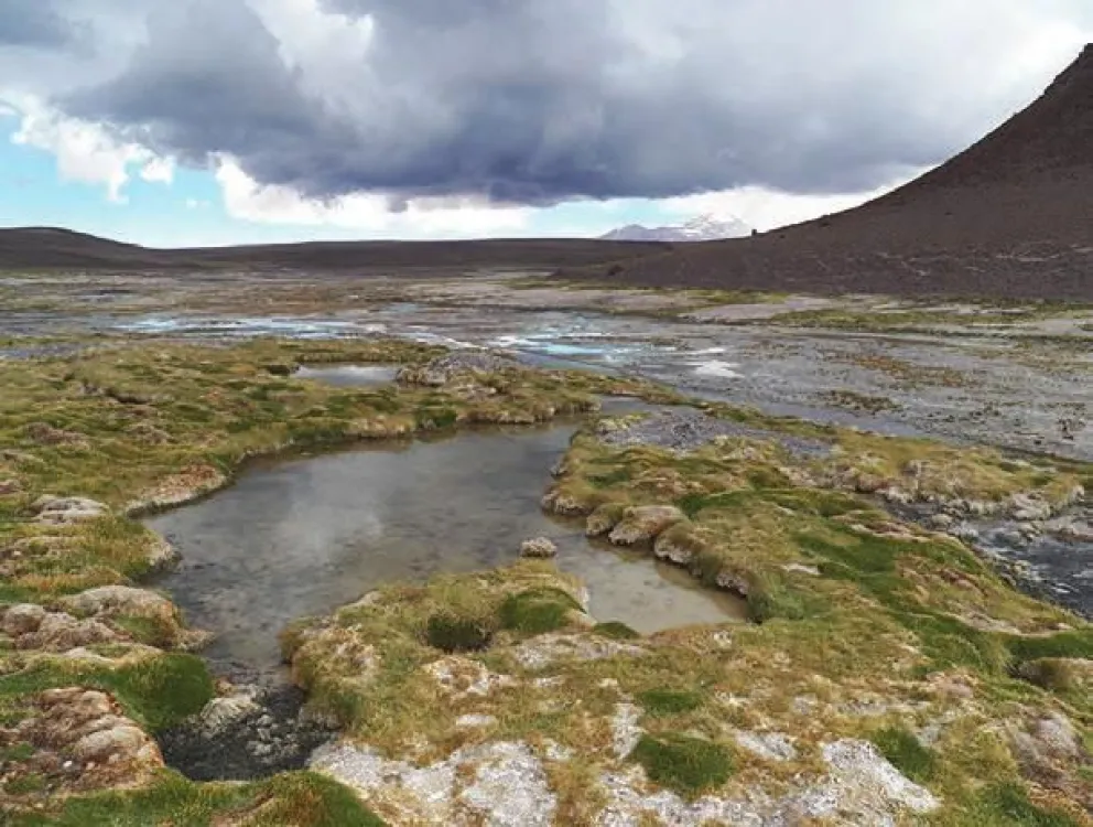 Diputados buscarán emitir dictamen sobre proyecto de Ley de Humedales