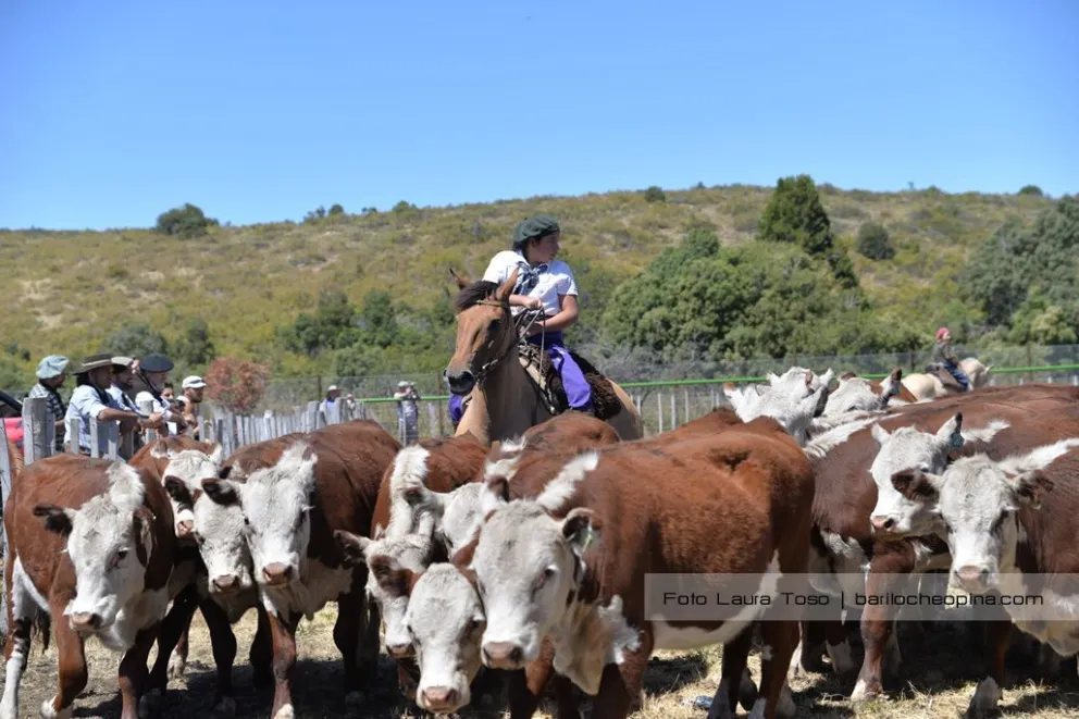 Todo listo para una nueva edición de la Exposición Rural Bariloche