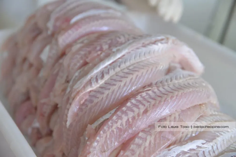 Recomendaciones para consumidores sobre alimentos en Semana Santa