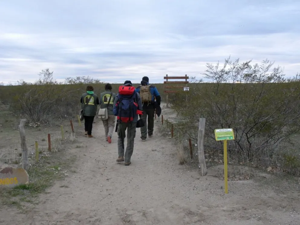 Se realizó una campaña de investigación en el Bosque Petrificado de Valcheta