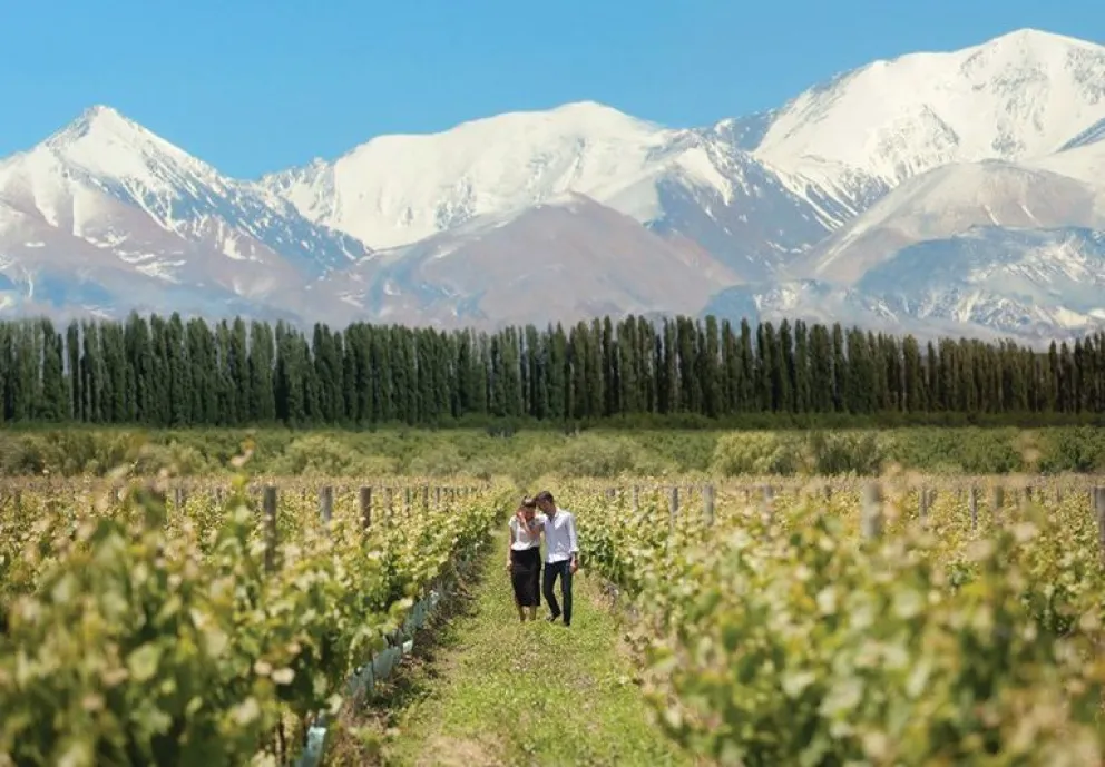 Las ventajas de visitar Mendoza en Primavera