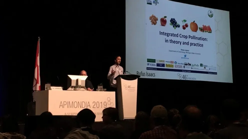 El mundo mira las abejas