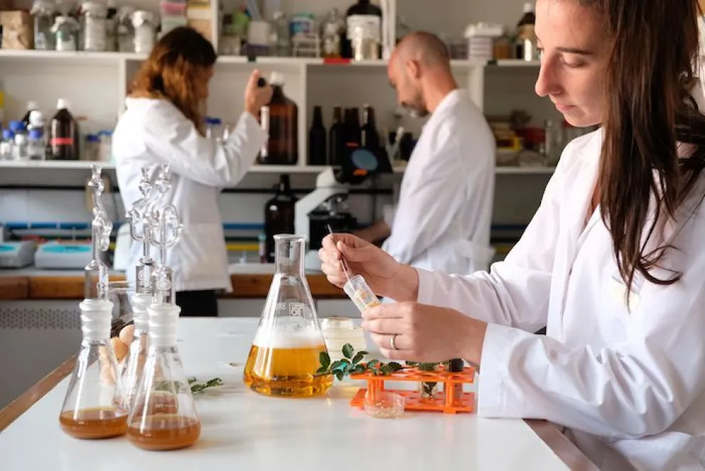 Invitan a capacitación para productores de cerveza y aficionados