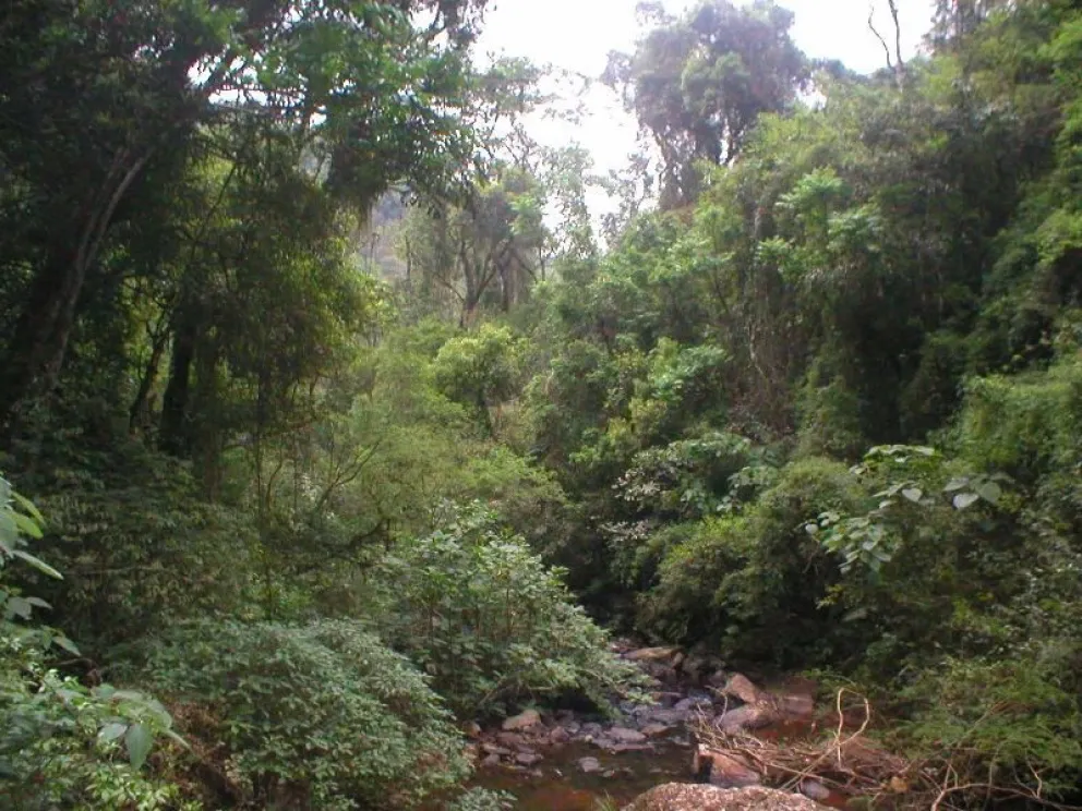 Si el desarrollo no es sustentable, no es desarrollo