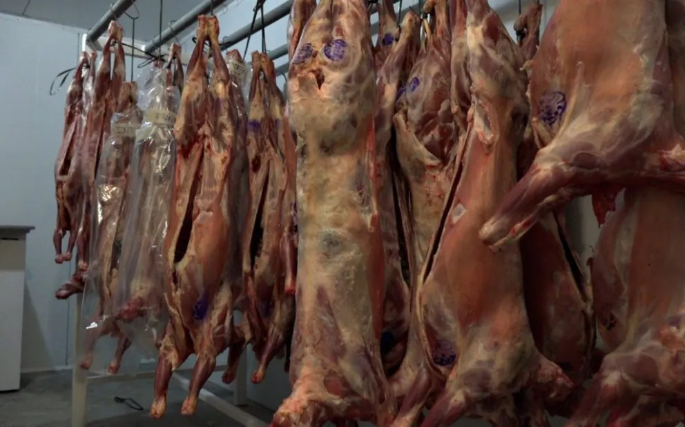 El cordero se resbaló y le fracturó la nariz: condena para ART