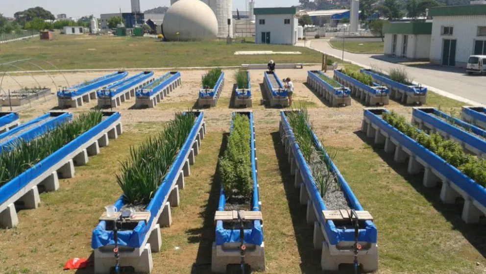 Residuos orgánicos, una herramienta útil para lograr ríos y arroyos menos contaminados