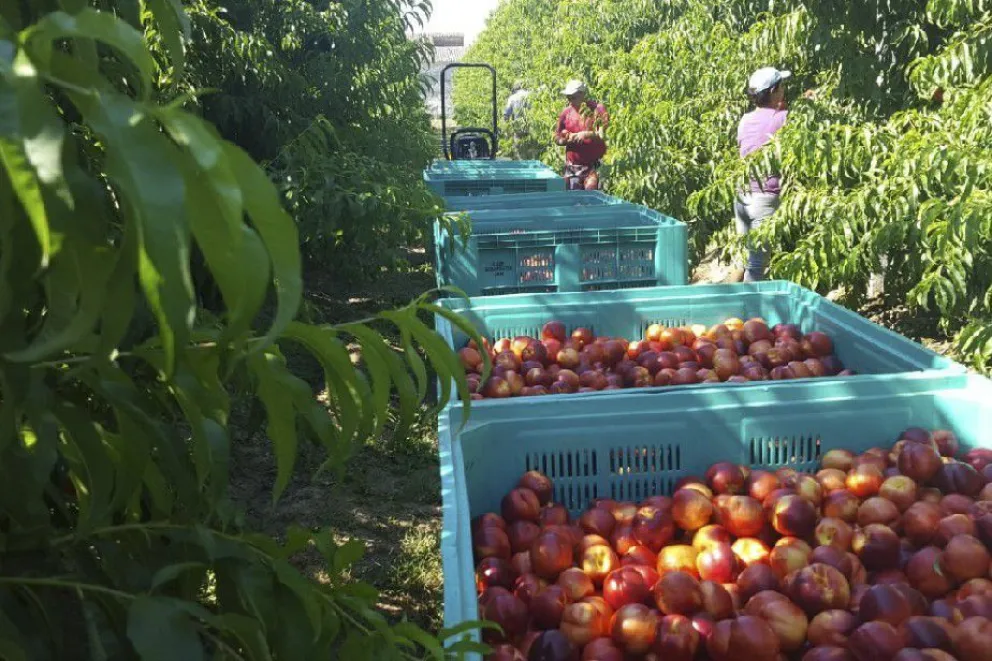 Trabajo migrante: Río Negro firmó un acuerdo con Santiago del Estero