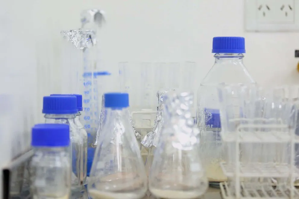 Río Negro refuerza la lucha contra el COVID-19 a través de proyectos de investigación y desarrollo