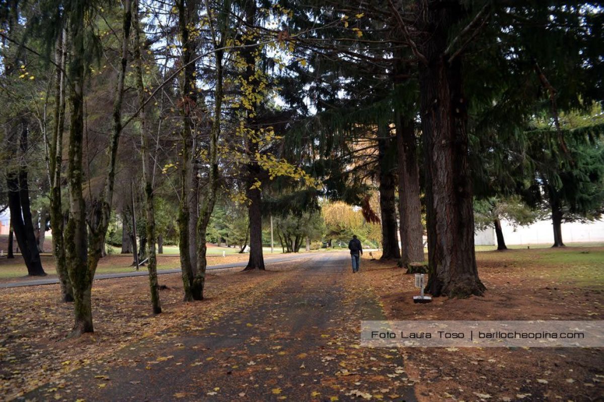 Este fin de semana la temperatura llegará a los 16 grados en Bariloche