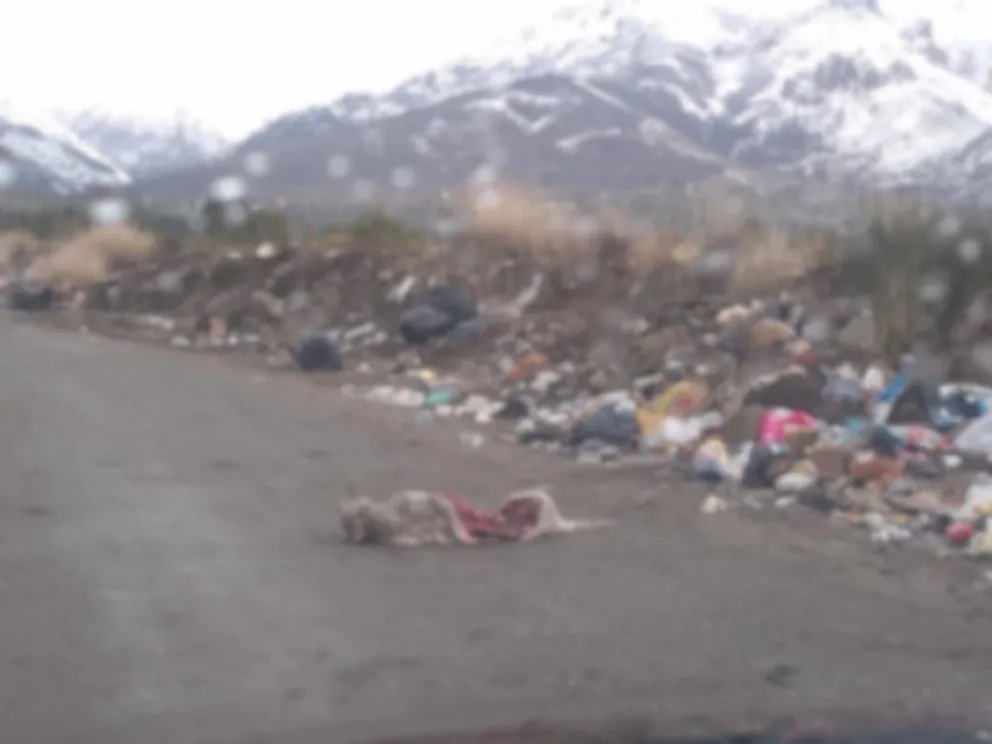 El maltrato animal sigue preocupando a los vecinos de Bariloche