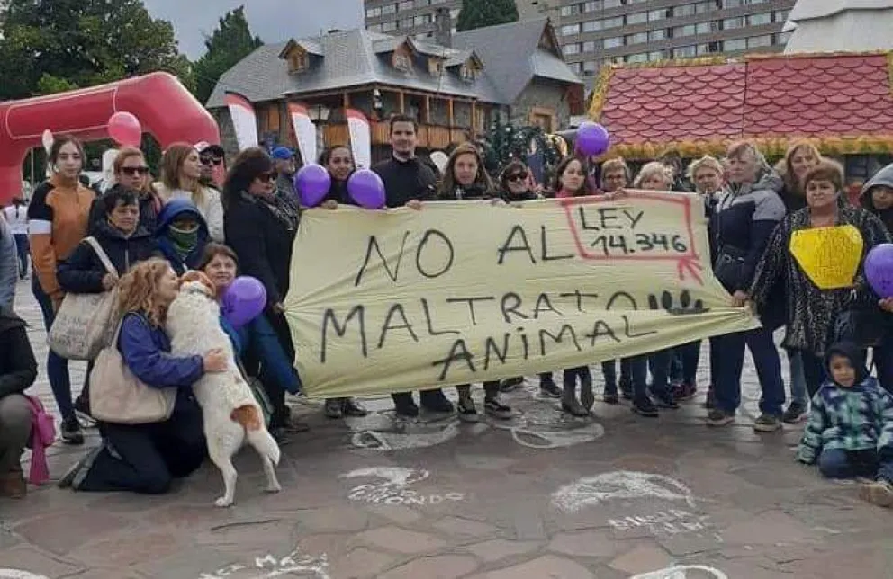 Derecho Animal: Todos somos parte del mismo equipo