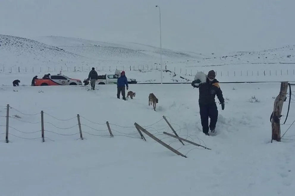 Con alimentos, abrigo y leña, asisten a familias afectadas por las intensas nevadas