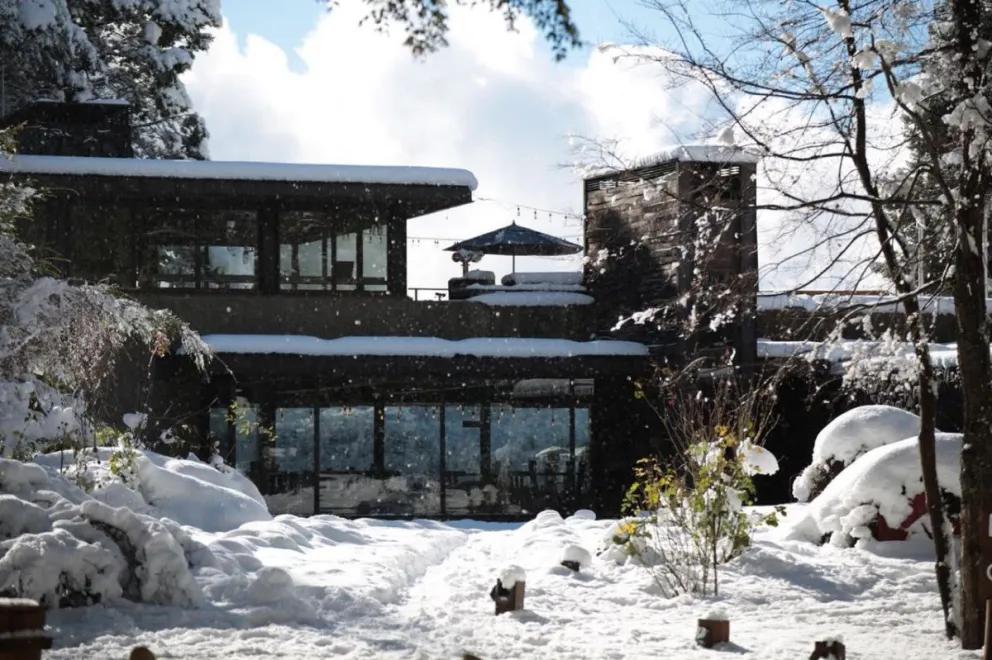 Cerveza Patagonia ofrece diferentes alternativas de bebidas sin alcohol