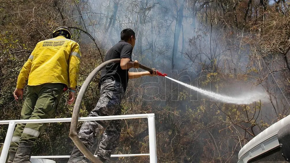 Asisten con aviones y brigadistas a once provincias para contener incendios