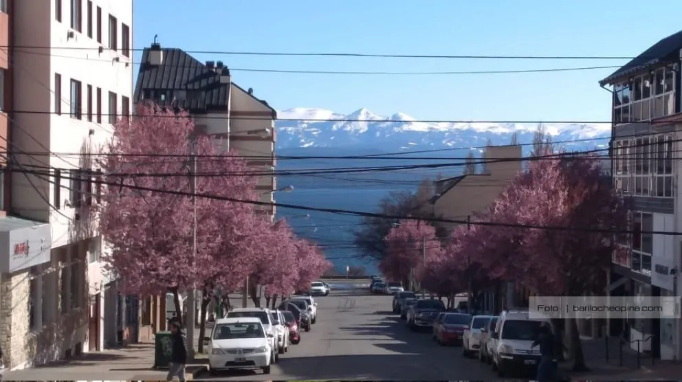 La primavera va tomando fuerza en Bariloche: mirá como sigue el tiempo
