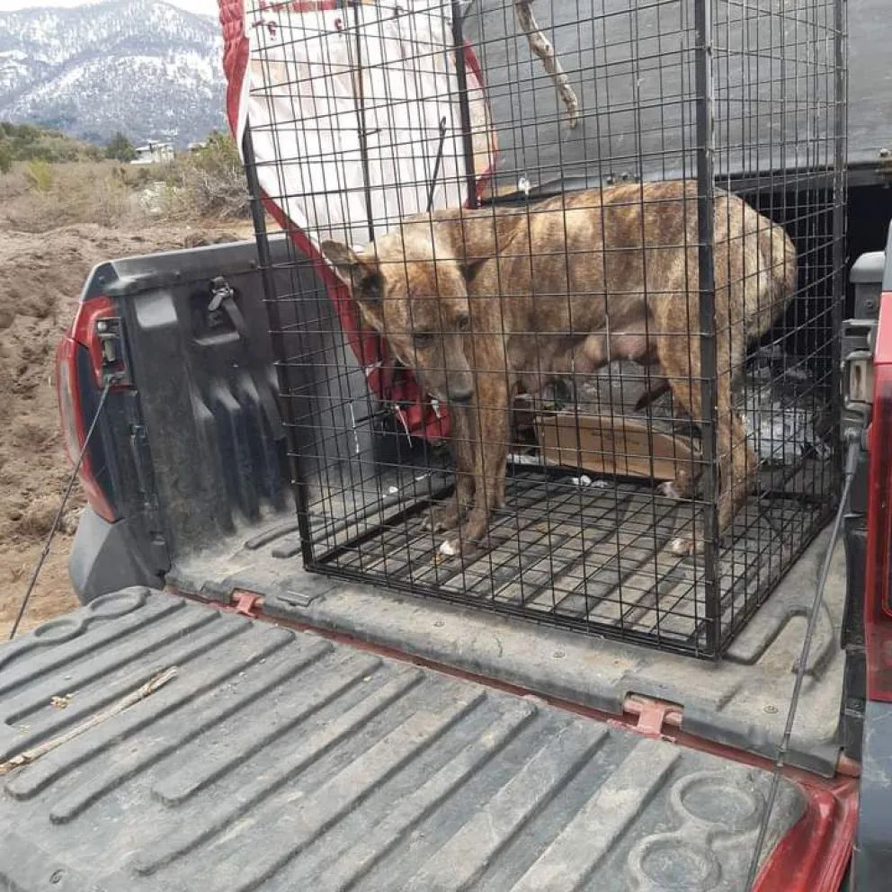 Esterilización, y punto