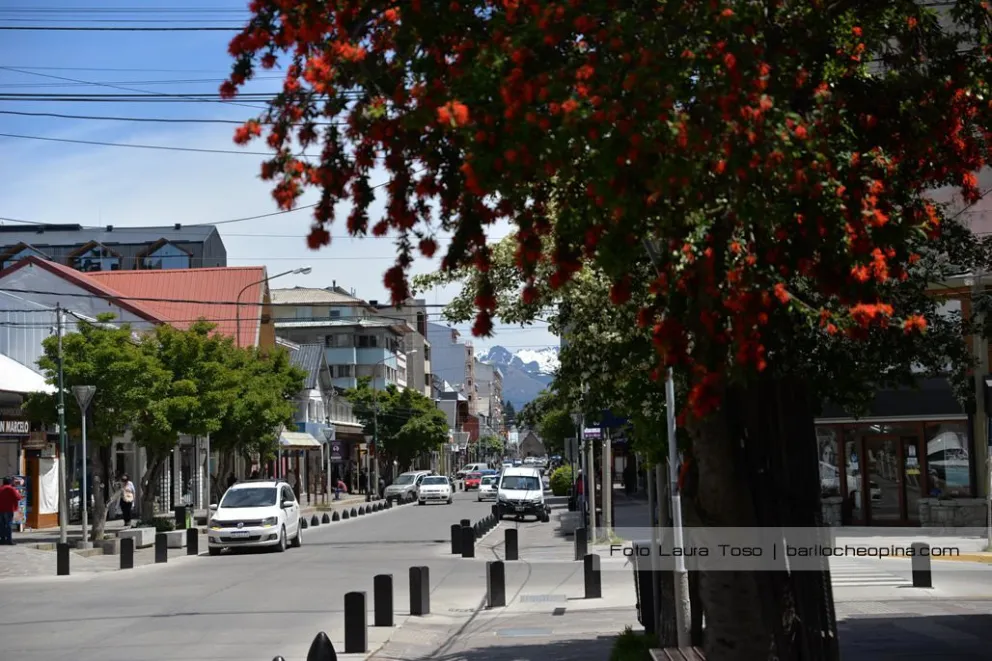 Presentan un proyecto para mejorar el sistema de estacionamiento en la ciudad