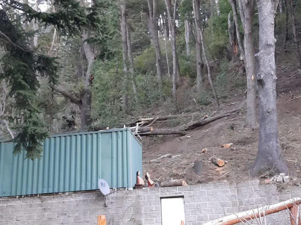 "De la participación necesaria de funcionarios en los desmontes"