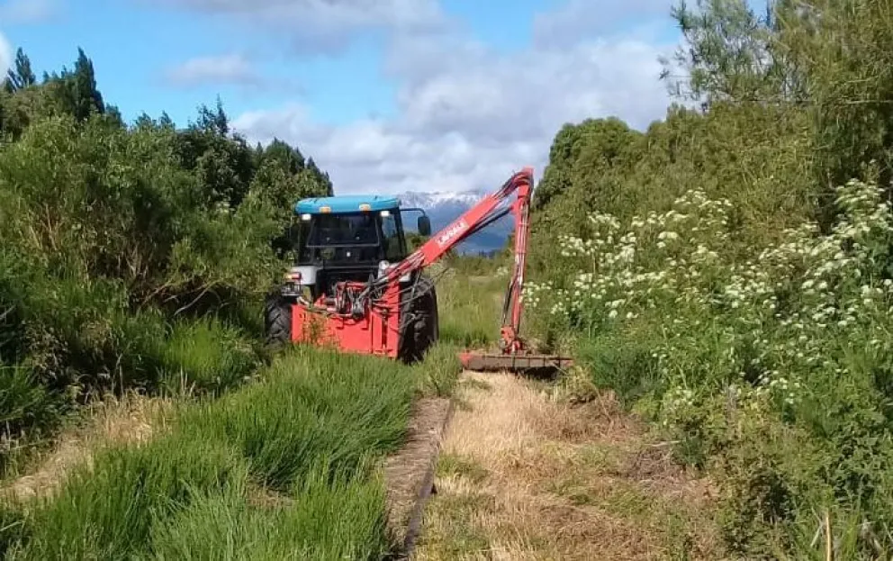 Avanza el despeje de vías para el regreso del Tren Patagónico