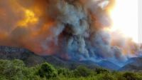 [AUDIO] ¿Cuáles son las consecuencias que se generan en el ambiente por los incendios forestales? 