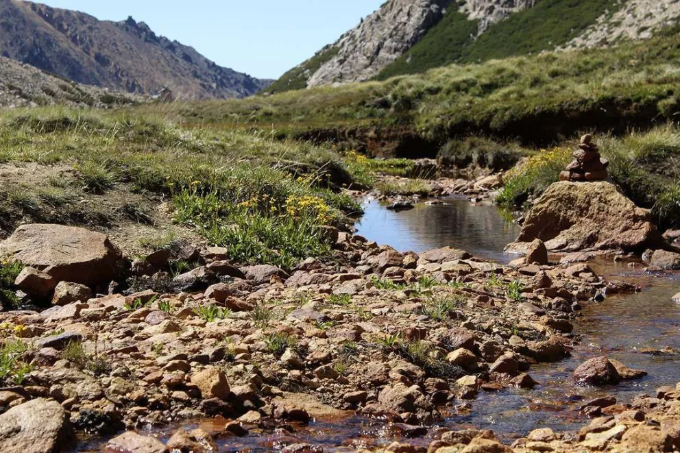 Día Mundial de los Humedales: el trabajo de la provincia