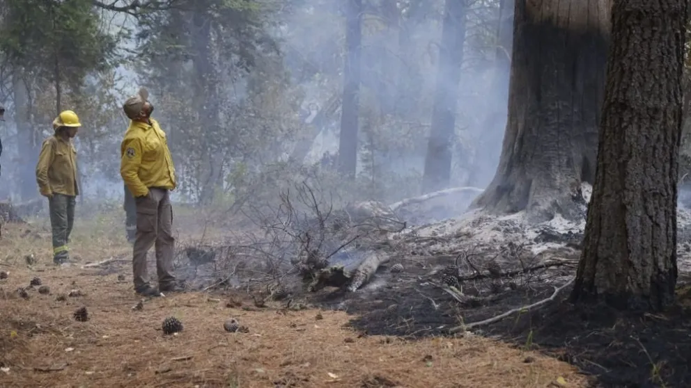 [AUDIO] El fuego: información y acción