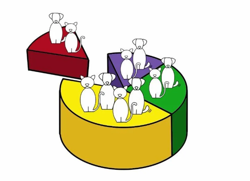 Censo poblacional canino y felino en Río Negro: Una frase recurrente dentro de la problemática de animales abandonados