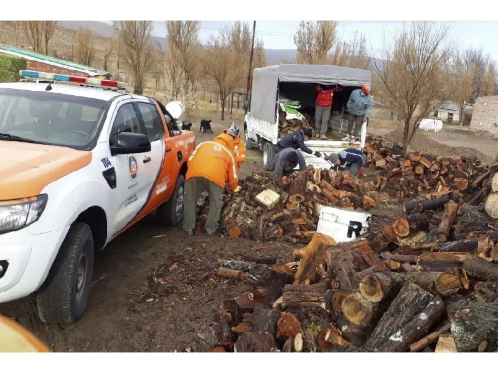 Plan Calor: sigue el abastecimiento de leña para las familias rionegrinas