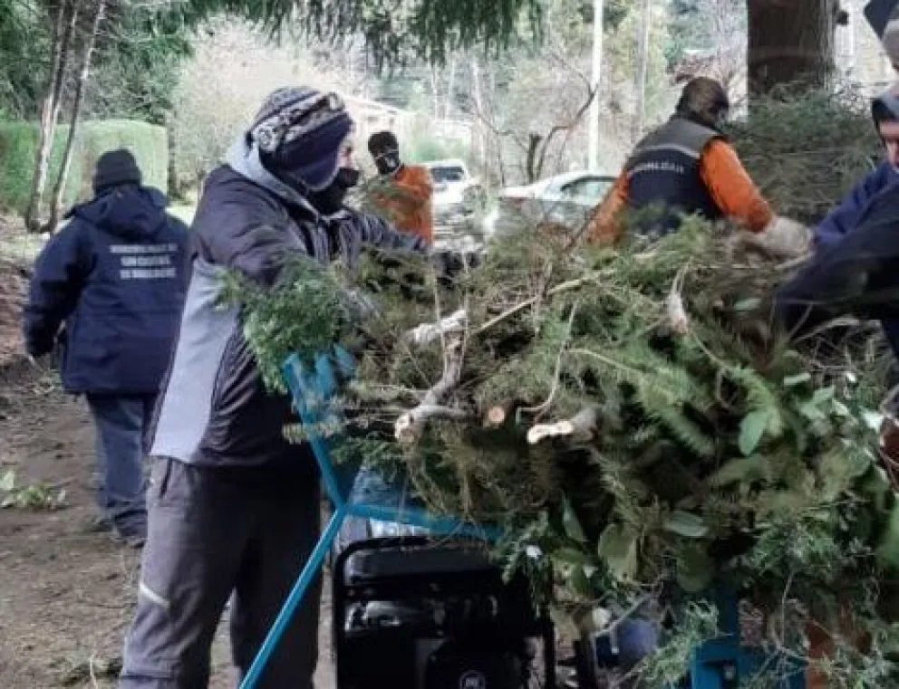 Delegaciones Municipales: Nuevas tarifas del servicio de recolección de residuos forestales