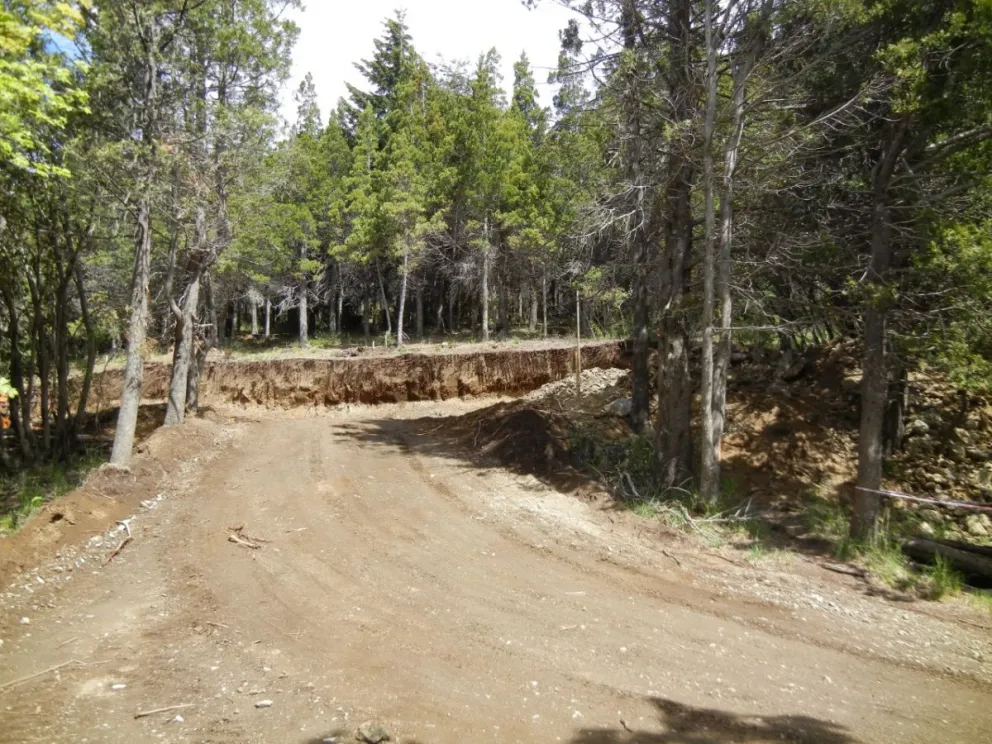 Foto: Junta Vecinal Barrio El Trébol