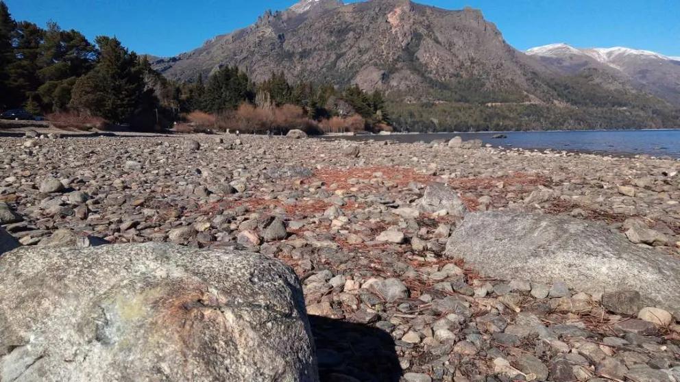 Legislatura: Convirtieron en ley dos iniciativas para combatir el cambio climático