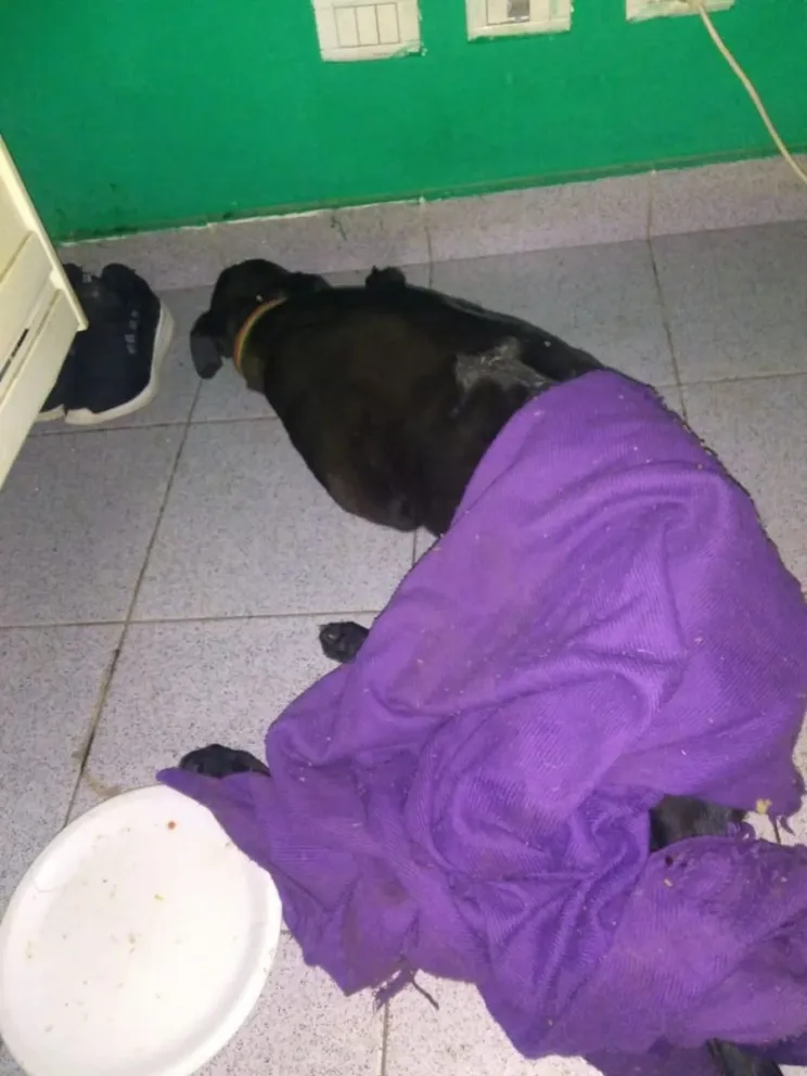 Muerte de "Nena" y la mirada del caso desde la Psicología