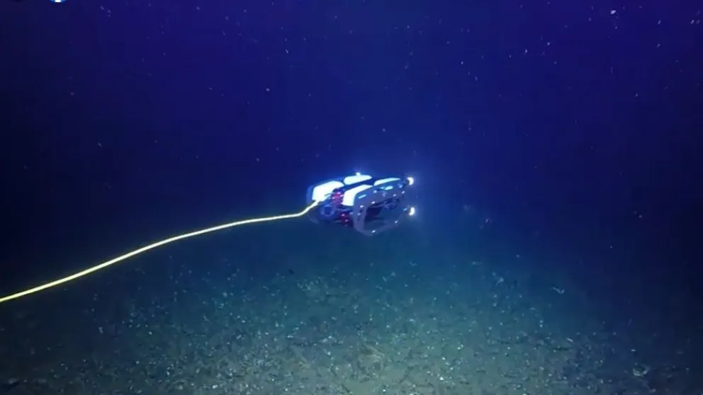 Pancora Robótica Submarina: El emprendimiento barilochense que explora las profundidades