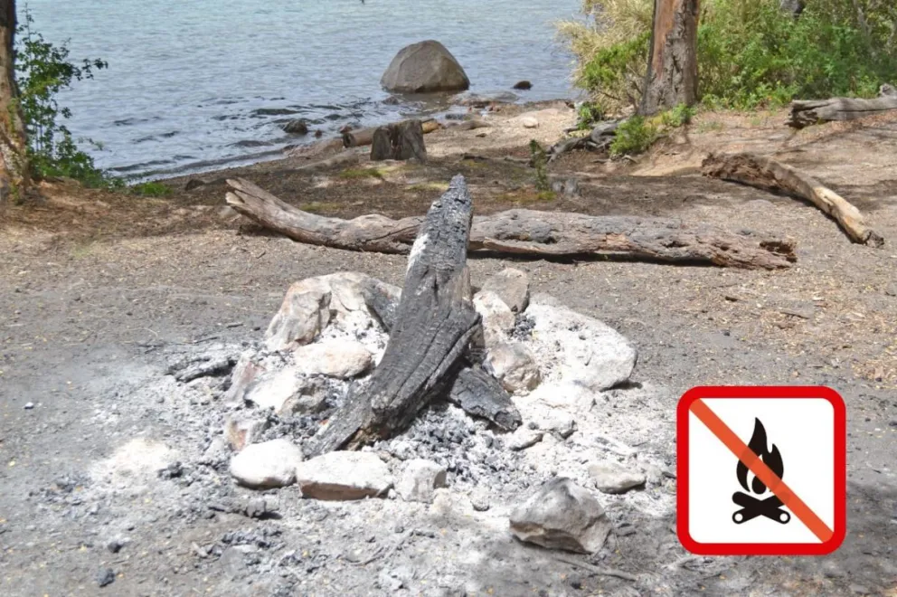 Ola de calor y medidas de prevención para evitar incendios forestales 