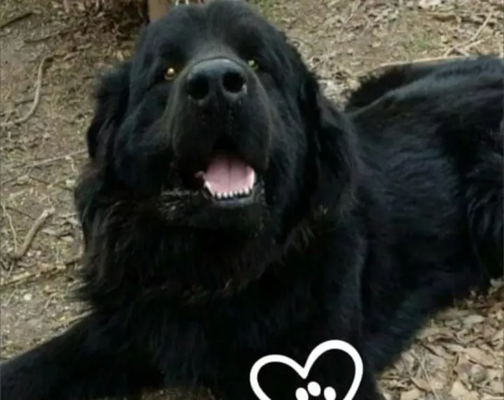 La justicia llego para Byron