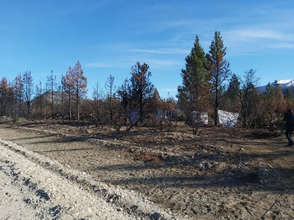 Piden hasta tres años de prisión para miembros de la Lof Quemquemtrew