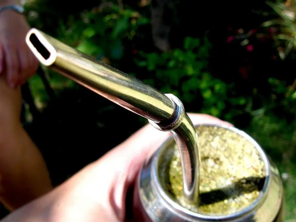 Proponen llevar el mate a todas las escuelas del país