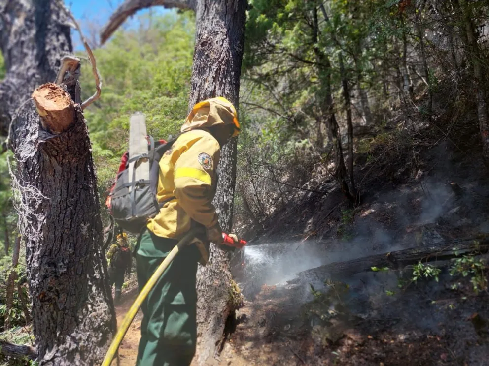 ATE denunció la "precariedad en la que se desempeñan los combatientes de incendios"  