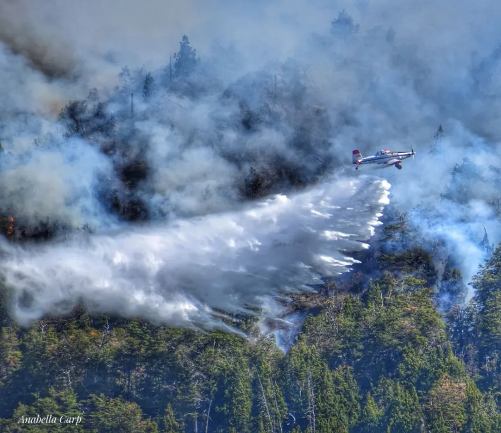 Sigue el combate del fuego en la zona de Lago Martin