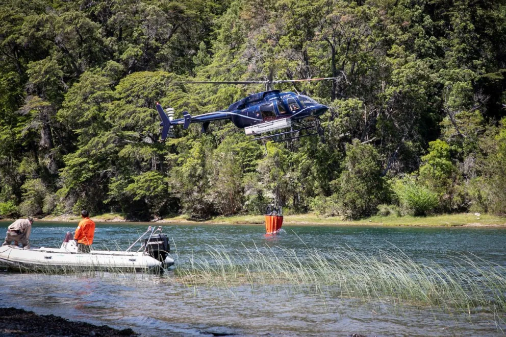 Incendios: La mayoría de los sectores continúan activos