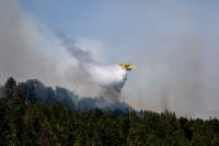 Incendios forestales: Nación declaró la emergencia ígnea por un año