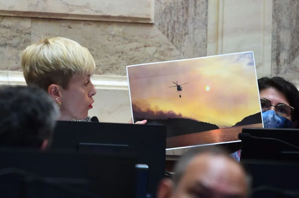 El Senado aprobó declarar Zona de Desastre y Emergencia Forestal a Río Negro, Neuquén y Chubut