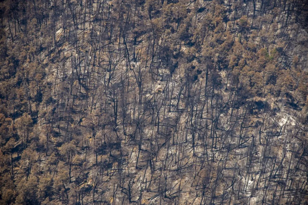 Si no los mata la motosierra, mueren quemados