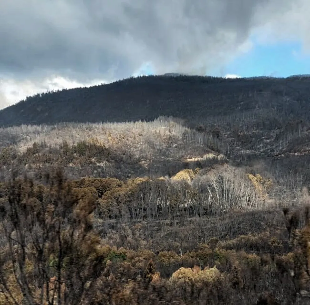 Las lluvias son leves pero constantes y colaboran con el combate del fuego