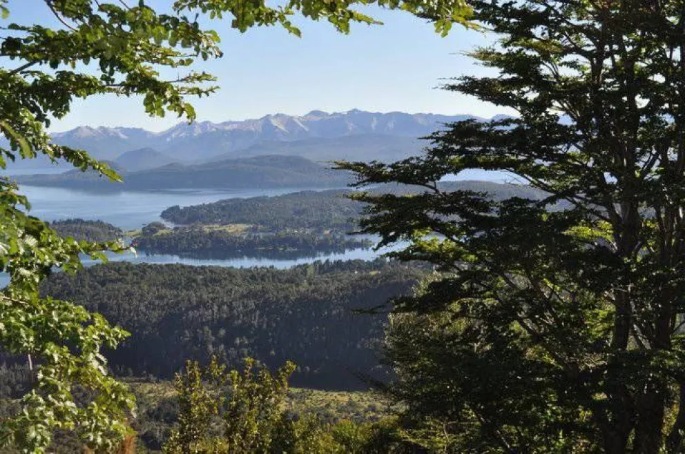 Atender la pérdida de biodiversidad es urgente