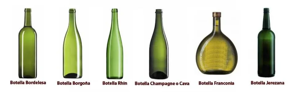 Historia del Vino: Partes visibles (II)