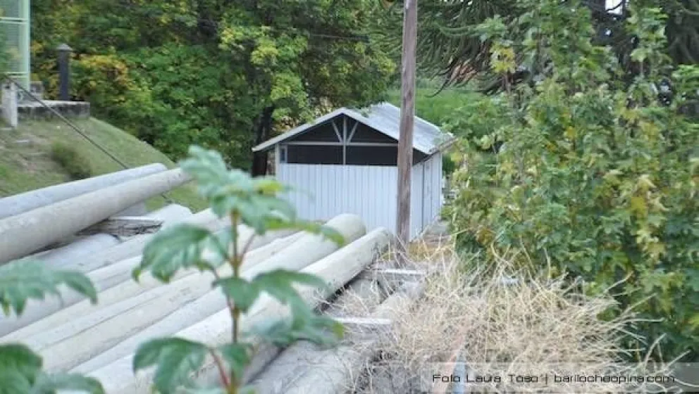 Arbol de pie exigió a la CEB "más respeto"