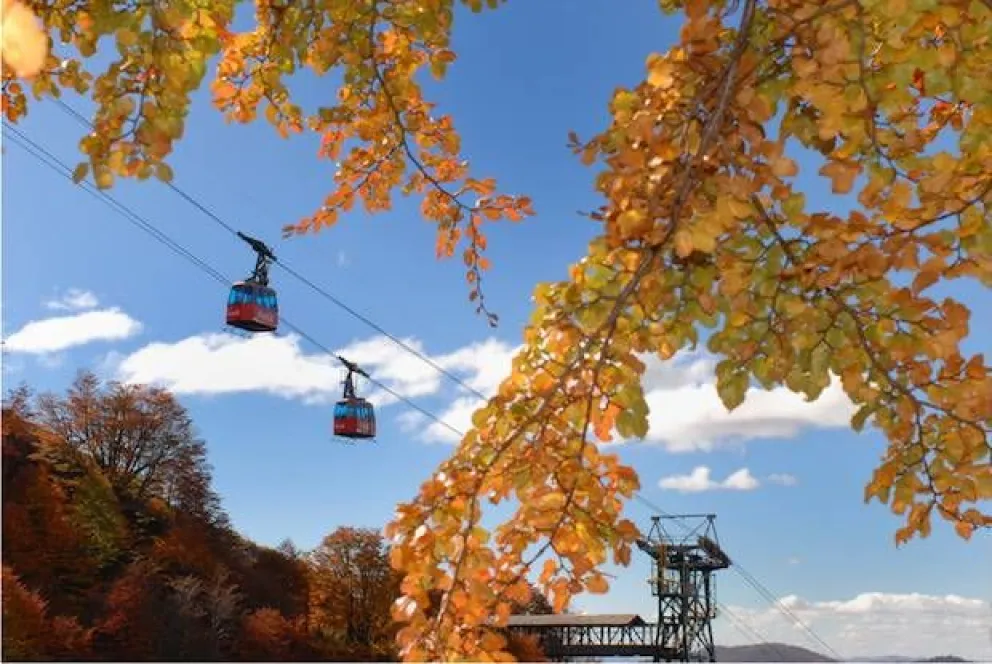 Ascenso gratis el viernes en Catedral